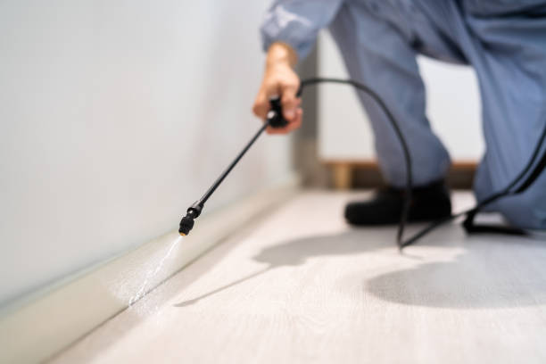 Certified termite inspector examining foundation in Lakemoor