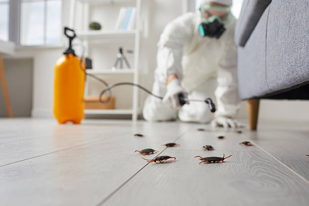 Commercial Kitchen Cockroach Control in Lakemoor